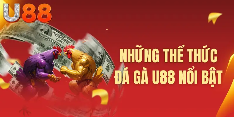 Những thể thức đá gà U88 nổi bật